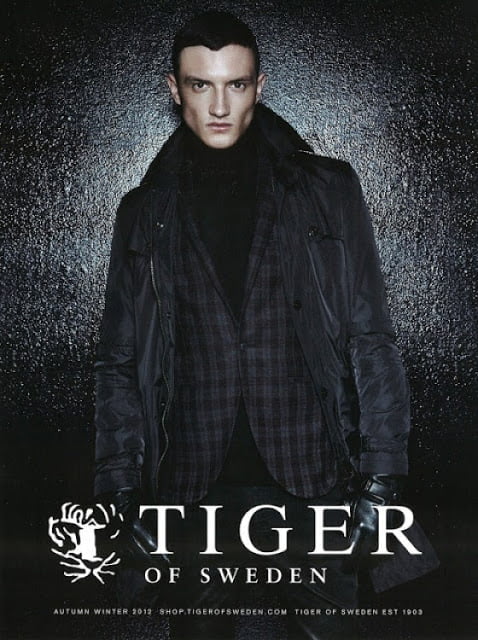 Tiger of Sweden