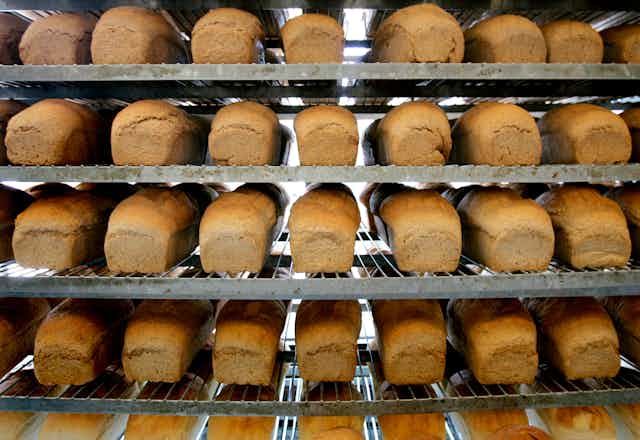 Loaves of fresh-baked bread line the shelves at a bakery. THE CANADIAN PRESS/AP-Douglas C. Pizac