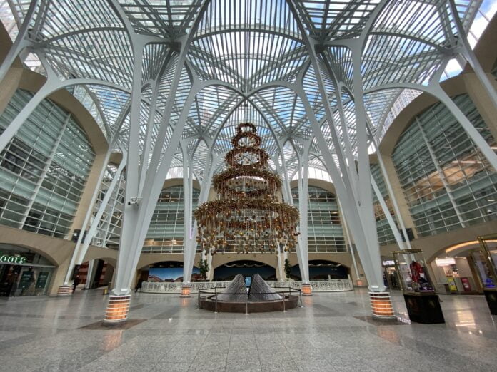 BrookfieldPlaceDaytimeTree