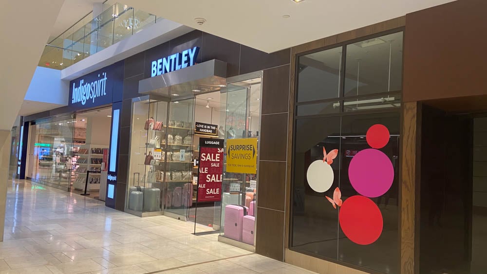 Indigo Spirit and Bentley at "The Core" in Calgary.