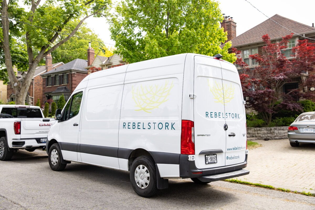 Rebelstork