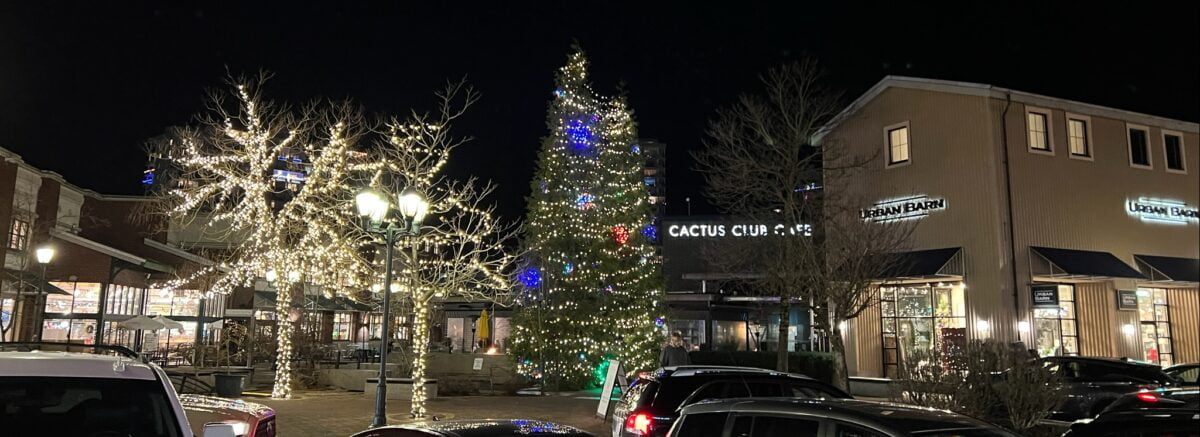 Whole Foods, Cactus Club and Urban Barn at The Village at Park Royal in West Vancouver (December 2021). Photo: Lee Rivett.