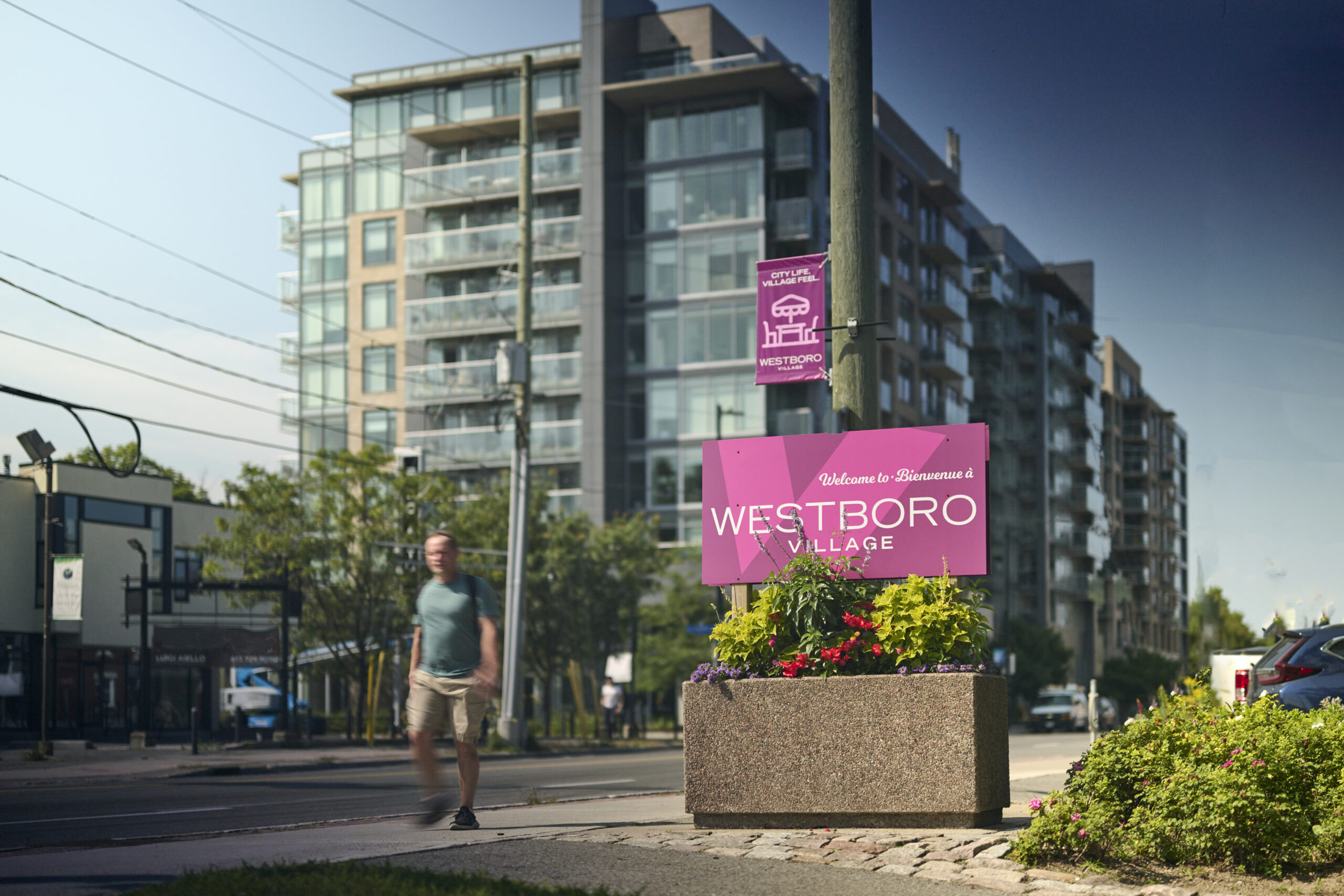 Westboro Village in Ottawa booms with new businesses and development