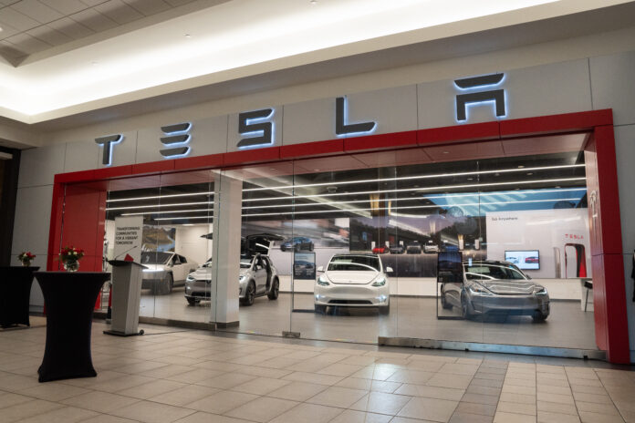 ShayMarkowitz_Notch_CFLimeRidge_Tesla_Dec122024_SameDayPreviews-407954