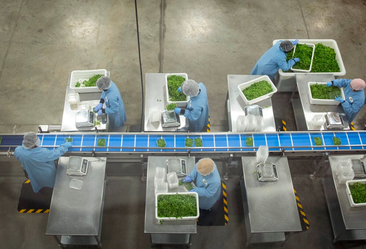 Source: GoodLeaf Farms