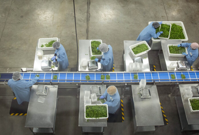 Source: GoodLeaf Farms
