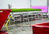 GoodLeaf Farms expands as Canada’s largest vertical farming company Source: GoodLeaf Farms