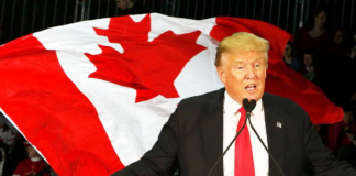 Trump’s proposed 50% tariffs on Canadian imports spark uncertainty for retailers, supply chains