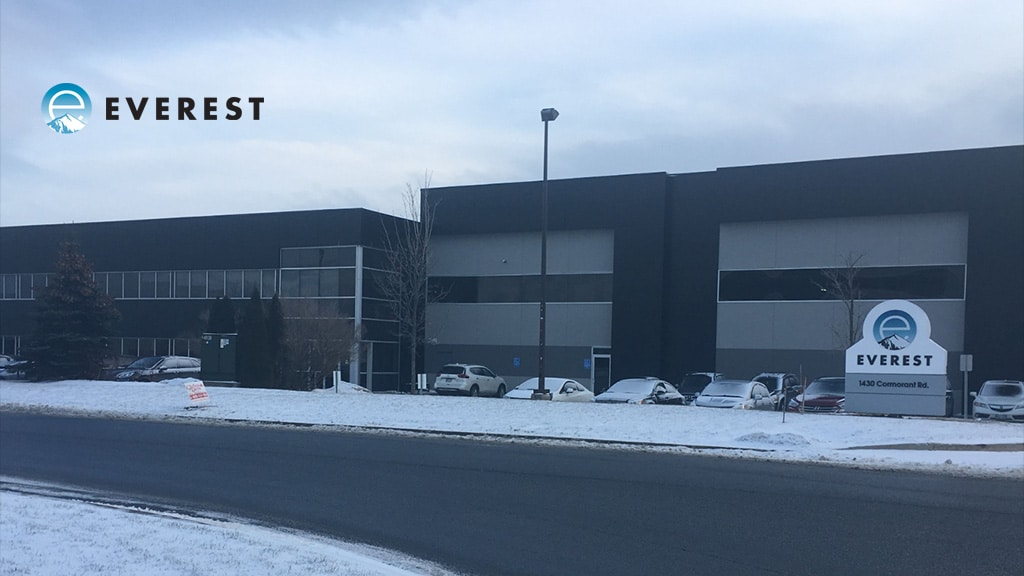 Everest Toys Placed in Receivership Amid Putman Group Struggles