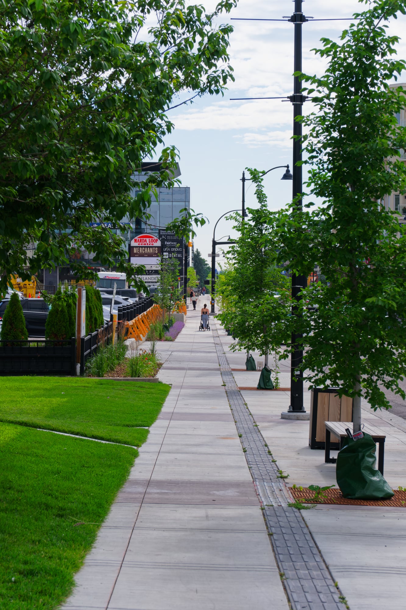 Marda Loop