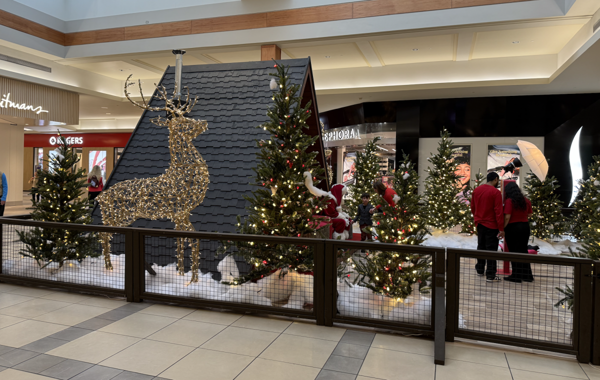 CF Market Mall. Photo: Mario Toneguzzi