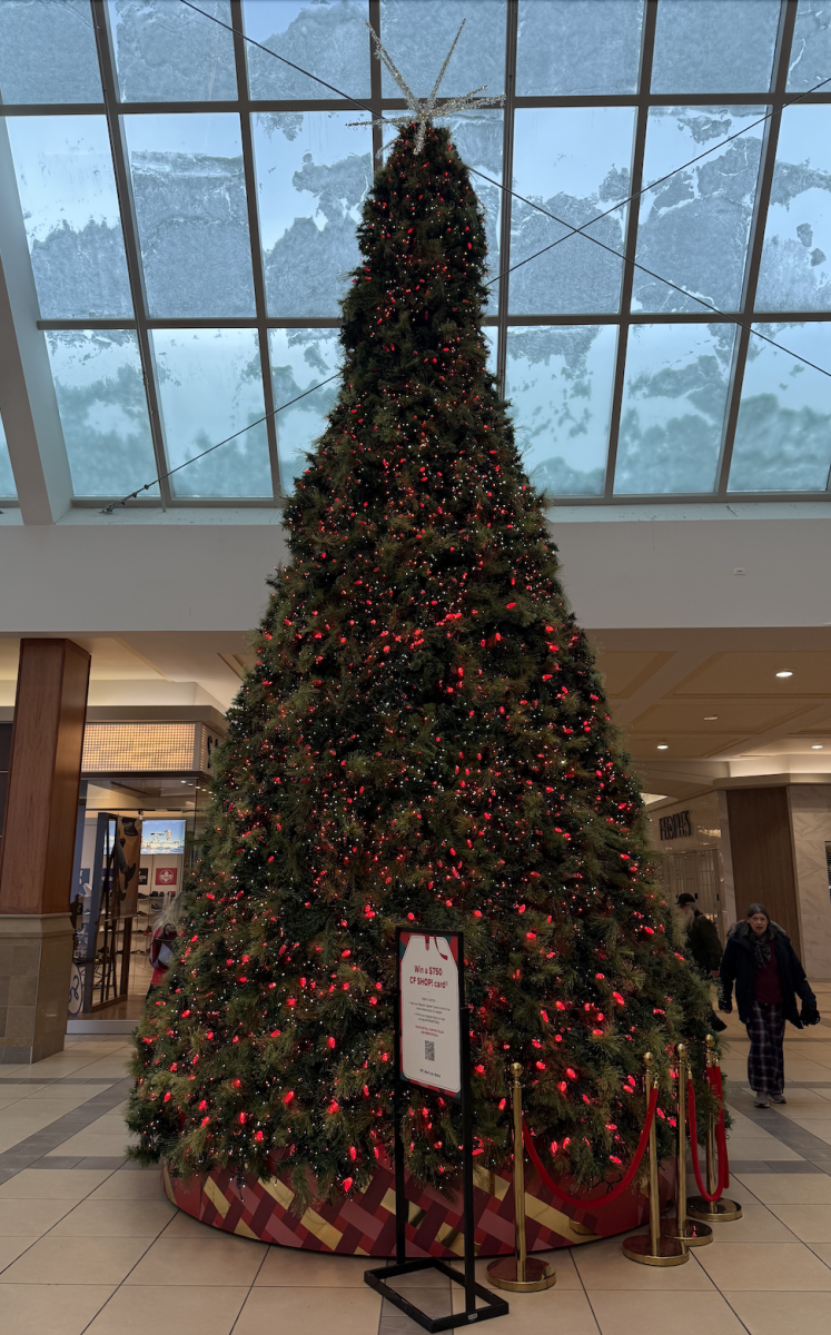 CF Market Mall. Photo: Mario Toneguzzi