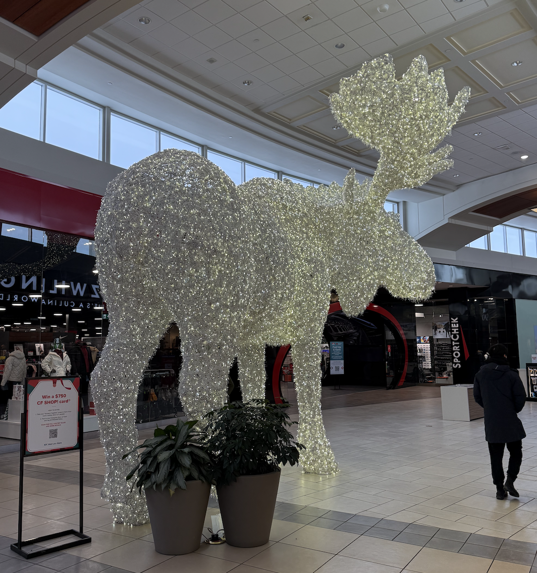 CF Market Mall. Photo: Mario Toneguzzi