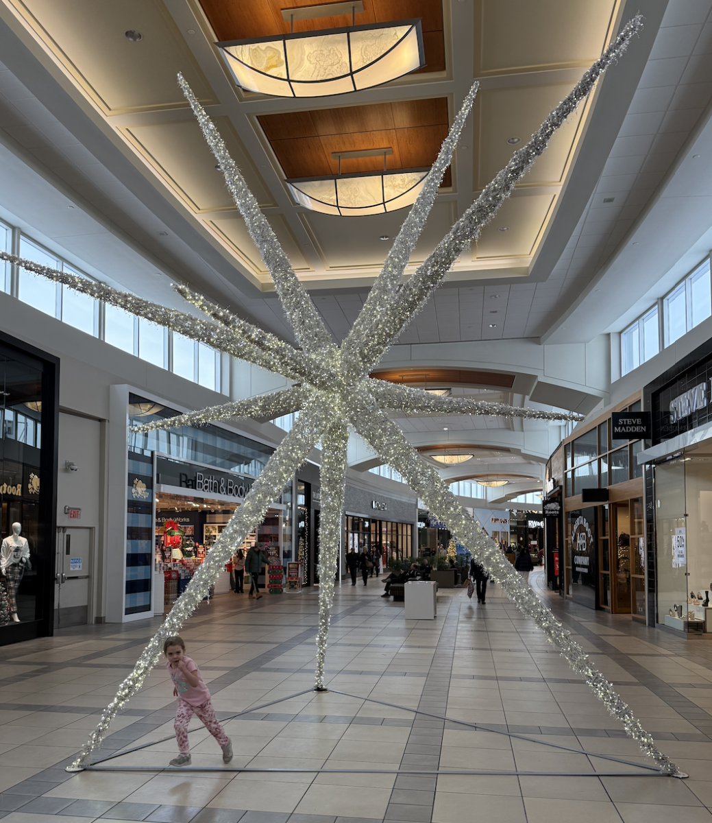 CF Market Mall. Photo: Mario Toneguzzi