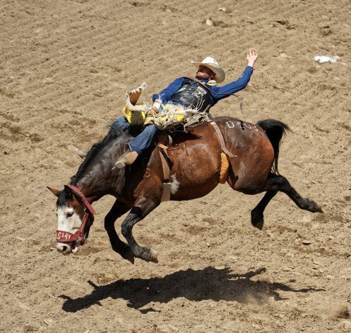 Dominique BOULAY photo