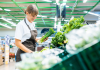 Iran Conflict Could Trigger New Food Price Shock in Canada