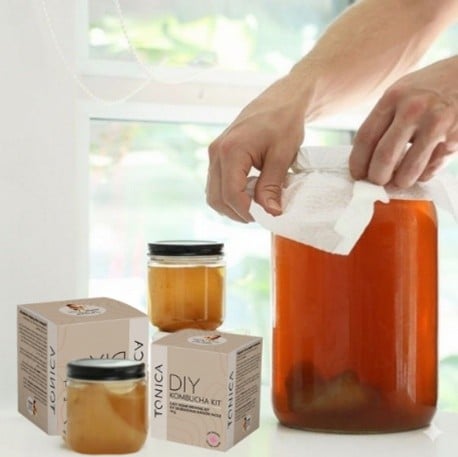 Tonica Kombucha photo