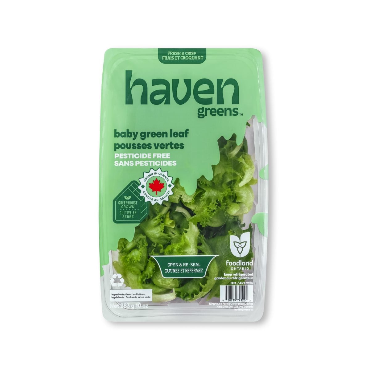 Haven Greens photo