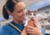 PetSmart Charities of Canada awards $450K in grants to local shelters and rescues