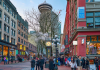 Soft Start to 2026 Masks Resilient Consumer Spending in Canada