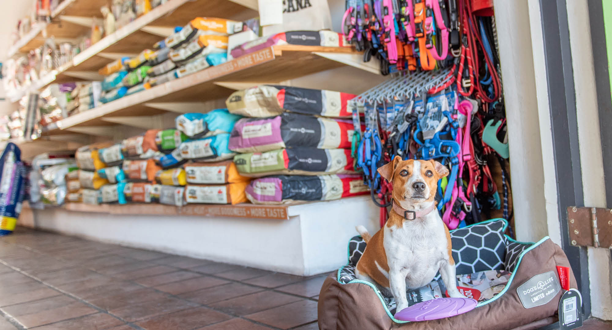 Pet Retail Report