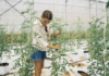 Rising fertilizer prices, supply disruptions hitting over 4 in 10 Canadian agri-businesses: CFIB Anna Tarazevich photo