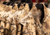 H&M Launches Stella McCartney Collection in Canada