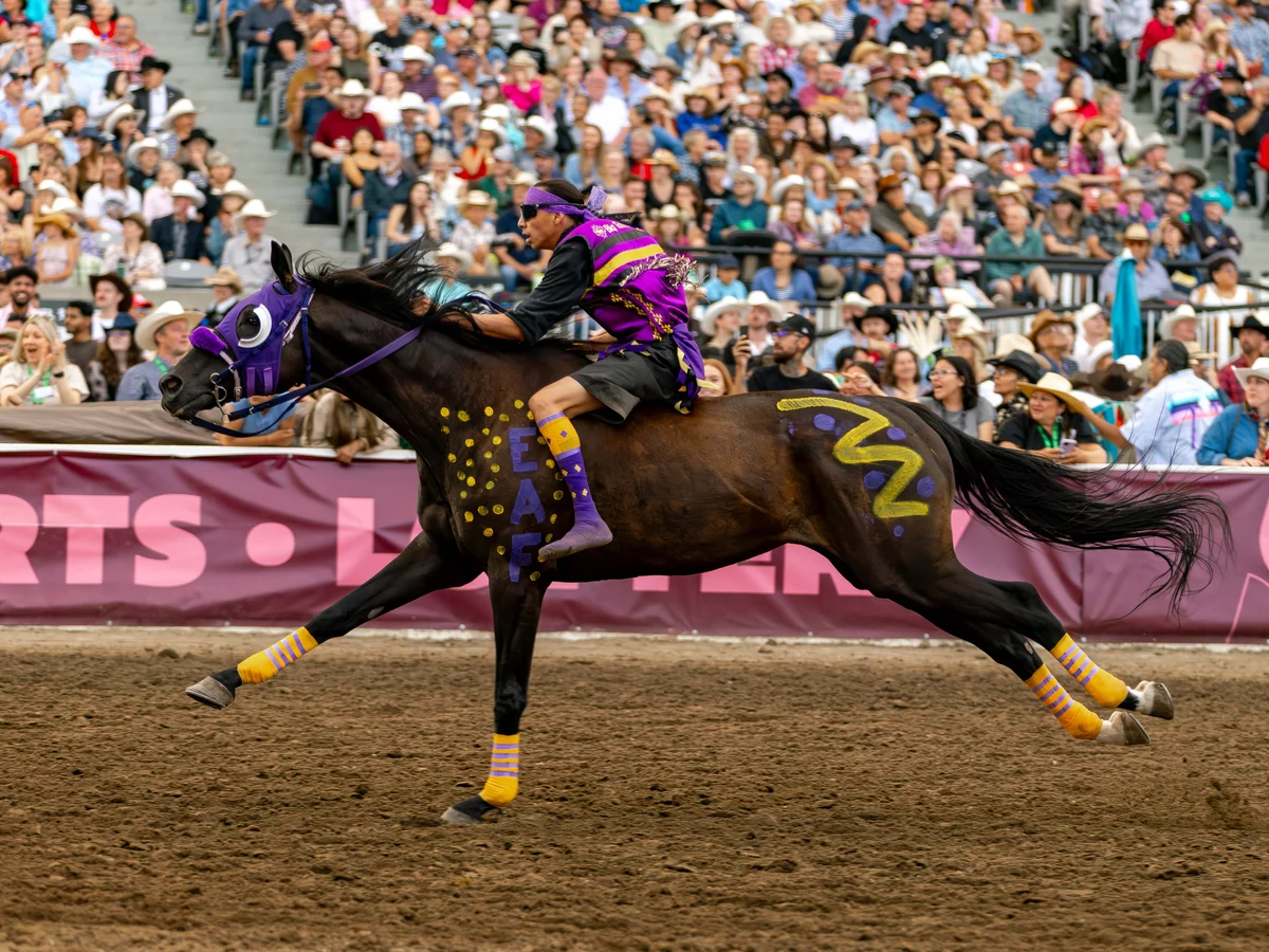 Calgary Stampede photo