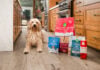 Open Farm partnering with PetSmart Open Farm photo