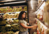 Interac survey finds single Canadians are bearing the brunt of rising grocery costs Helena Lopes photo