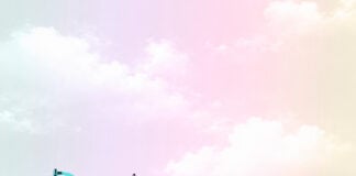 Squishmallows fragrances expand into Canada through Sephora Squishmallows Fragrances Wonder Whirl, Moonlit Mist, Pink Possibilities, and Whisked Away