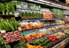 Margins, Losses, Surplus: What Food Waste Really Costs Small Businesses