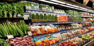 Margins, Losses, Surplus: What Food Waste Really Costs Small Businesses