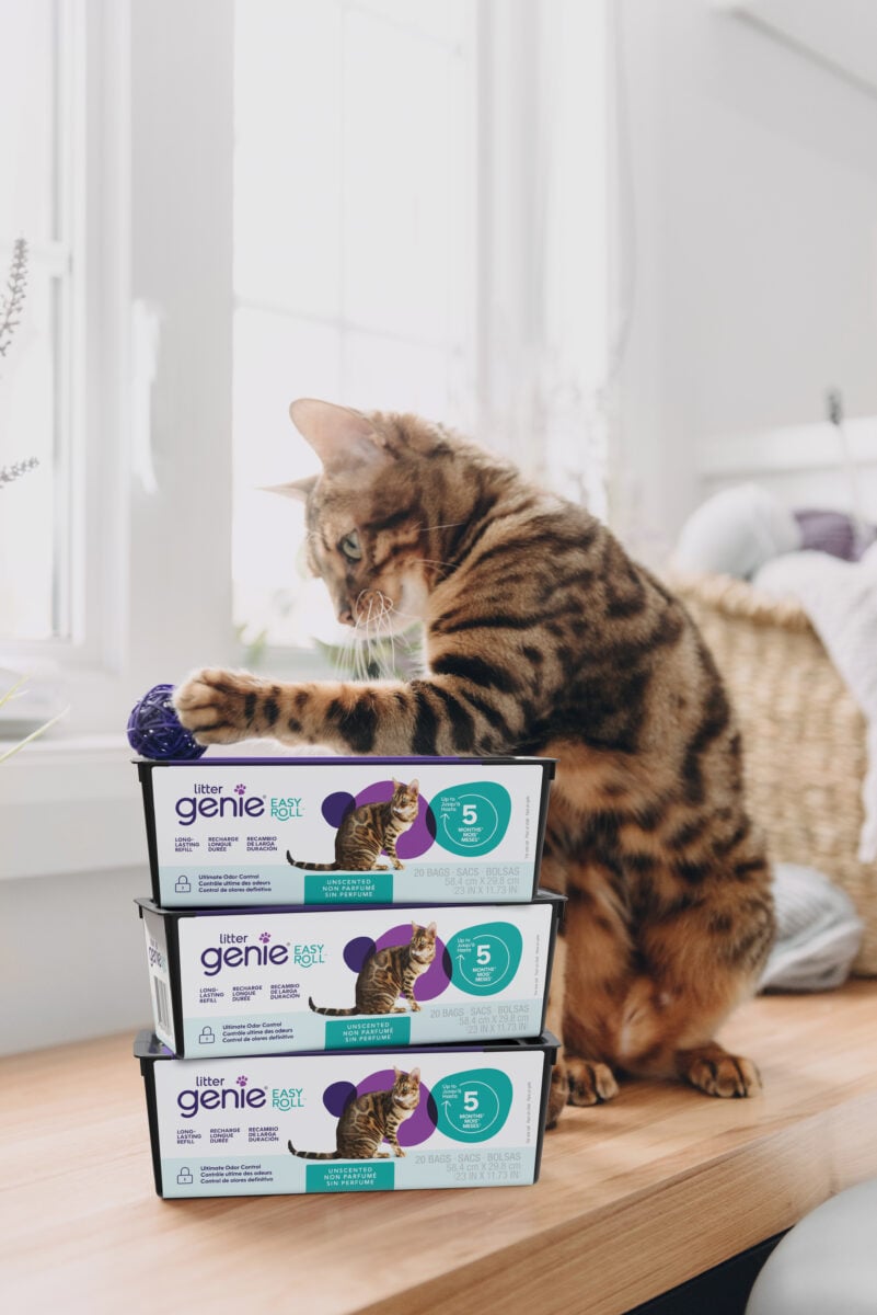 Litter Genie photo
