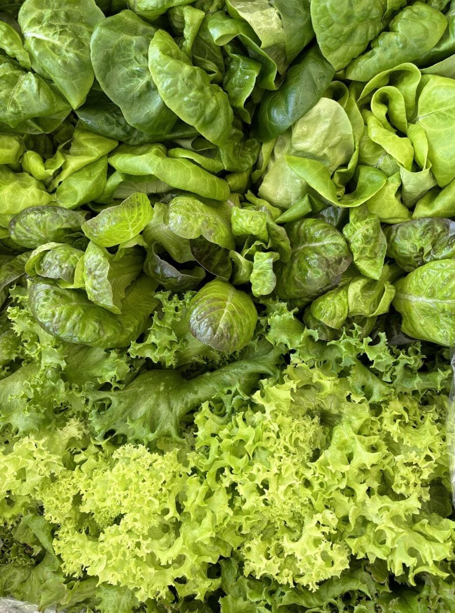 Hydragreens photo