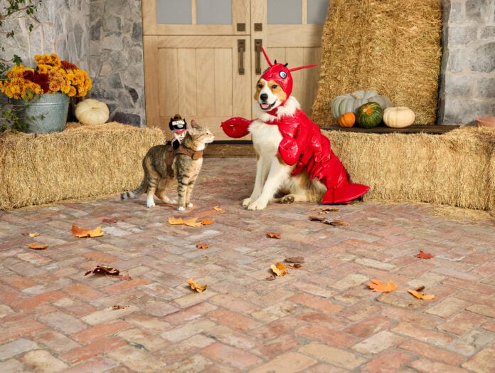PetSmart photo