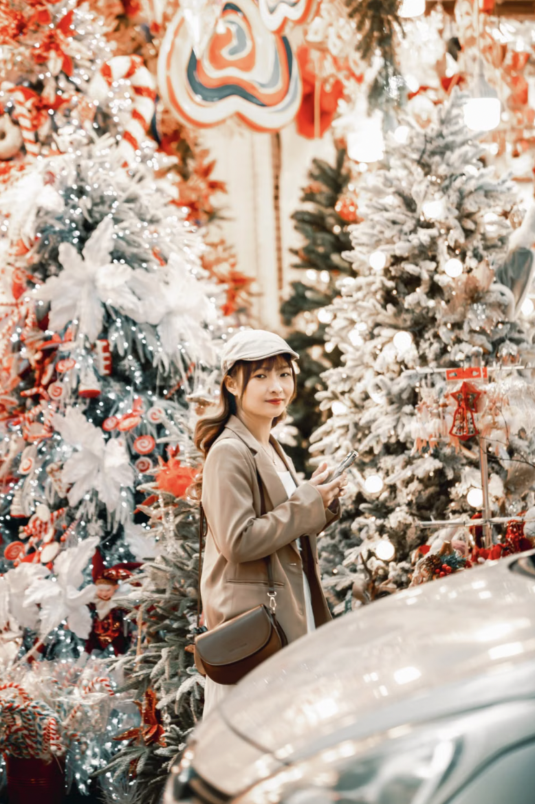 Nguyen Hung photo